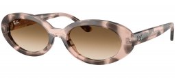Gafas de Sol - Ray-Ban - RB2223 - 144951  HAVANA PINK OPAL // BROWN GRADIENT