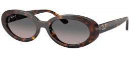 Gafas de Sol - Ray-Ban - RB2223 - 902/M3 HAVANA // GREY GRADIENT POLARIZED
