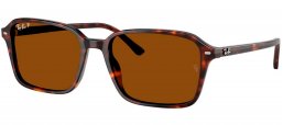 Gafas de Sol - Ray-Ban - RB2231 RAIMOND - 902/57 HAVANA // B-15 BROWN POLARIZED
