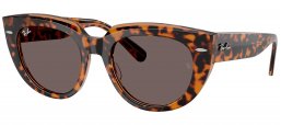 Gafas de Sol - Ray-Ban - RB2286 DOREEN - 1292B1  HAVANA ON TRANSPARENT BROWN // DARK GREY