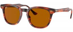 Gafas de Sol - Ray-Ban - RB2298 HAWKEYE - 954/33 STRIPED HAVANA // BROWN
