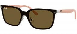 Gafas de Sol - Ray-Ban - RB3784D - 003/73 SILVER // DARK BROWN