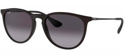 Gafas de Sol - Ray-Ban - RB4171 ERIKA - 622/8G RUBBER BLACK // LIGHT GREY GRADIENT DARK GREY