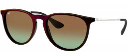 Gafas de Sol - Ray-Ban - RB4171 ERIKA - 6316E8 BLACK SP RED // GREEN GRADIENT BROWN