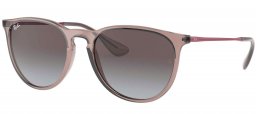 Gafas de Sol - Ray-Ban - RB4171 ERIKA - 65138G TRANSPARENT GREY // LIGHT GREY GRADIENT DARK GREY