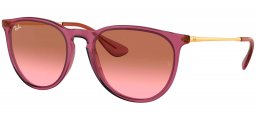 Gafas de Sol - Ray-Ban - RB4171 ERIKA - 659114 TRANSPARENT VIOLET // PINK GRADIENT BROWN