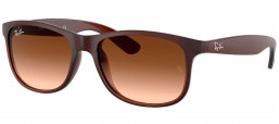 Gafas de Sol - Ray-Ban - RB4202 ANDY - 607313 MATTE BROWN // BROWN GRADIENT
