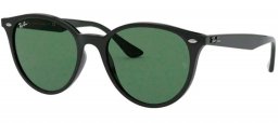 Gafas de Sol - Ray-Ban - RB4305 - 601/71 BLACK // GREEN