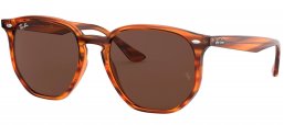 Gafas de Sol - Ray-Ban - RB4306 - 710/83 HAVANA // BROWN POLARIZED