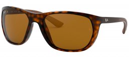 Gafas de Sol - Ray-Ban - RB4307 - 710/73 HAVANA // DARK BROWN