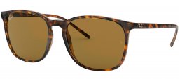 Gafas de Sol - Ray-Ban - RB4387 - 710/73 HAVANA // DARK BROWN