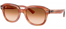 Gafas de Sol - Ray-Ban - RB4398 ERIK - 140351  STRIPED BROWN // BROWN GRADIENT TRANSPARENT