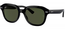 Gafas de Sol - Ray-Ban - RB4398 ERIK - 901/31 BLACK // GREEN