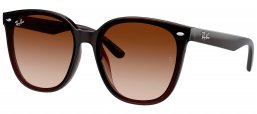 Gafas de Sol - Ray-Ban - RB4423D - 714/13  TRANSPARENT BROWN // BROWN GRADIENT