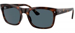 Gafas de Sol - Ray-Ban - RB4428 - 710/R5  HAVANA // BLUE