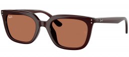 Gafas de Sol - Ray-Ban - RB4439D - 623173  OPAL BROWN // DARK BROWN