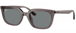 Gafas de Sol - Ray-Ban - RB4439D - 667587  TRANSPARENT GREY // DARK GREY