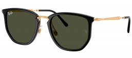 Gafas de Sol - Ray-Ban - RB4451 - 630631  BLACK // GREEN