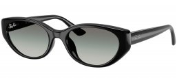 Gafas de Sol - Ray-Ban - RB4457D - 667711  BLACK // GREY GRADIENT