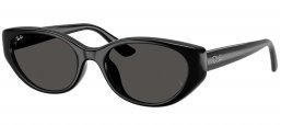 Gafas de Sol - Ray-Ban - RB4457D - 667787  BLACK // DARK GREY