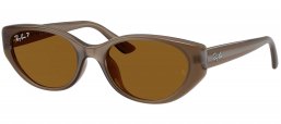 Gafas de Sol - Ray-Ban - RB4457D - 677983  TRANSPARENT BROWN // DARK BROWN POLARIZED