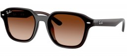 Gafas de Sol - Ray-Ban - RB4458D - 714/13 TRANSPARENT DARK BROWN // BROWN GRADIENT