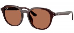 Gafas de Sol - Ray-Ban - RB4459D - 623173  OPAL BROWN // DARK BROWN