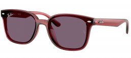Gafas de Sol - Ray-Ban - RB4461D - 659373  TRANSPARENT DARK BROWN // VIOLET