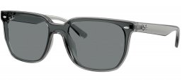 Gafas de Sol - Ray-Ban - RB4466D - 645087  TRANSPARENT GREY // DARK GREY