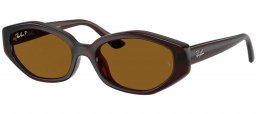 Gafas de Sol - Ray-Ban - RB4473D - 714/83 DARK BROWN // DARK BROWN POLARIZED