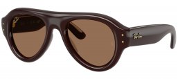 Gafas de Sol - Ray-Ban - RB4925 - 689673  DARK BROWN // DARK BROWN