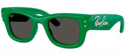 Gafas de Sol - Ray-Ban - RB4940B WAYFARER PUFFER - 685987  GREEN AND STRASS // DARK GREY