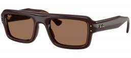 Gafas de Sol - Ray-Ban - RB4954 - 689673  DARK BROWN // DARK BROWN