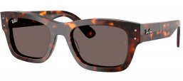 Gafas de Sol - Ray-Ban - RB7683S JOSEPH - 902/B1 HAVANA // DARK GREY