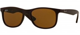Gafas Junior - Ray-Ban Junior Collection - RJ9062S - 701473 MATTE BROWN // DARK BROWN