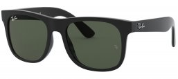 Gafas Junior - Ray-Ban Junior Collection - RJ9069S - 100/71 BLACK // GREEN