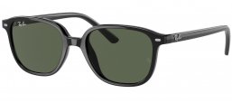 Gafas Junior - Ray-Ban Junior Collection - RJ9093S LEONARD JR - 100/71 BLACK // DARK GREEN