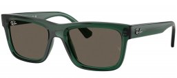 Gafas Junior - Ray-Ban Junior Collection - RJ9196S - 7189/3 TRANSPARENT GREEN // BROWN