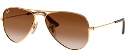Gafas Junior - Ray-Ban Junior Collection - RJ9506S - 223/13 GOLD // BROWN GRADIENT