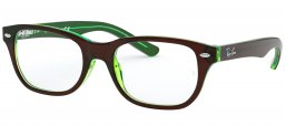 Gafas Junior - Ray-Ban Junior Collection - RY1555 - 3665 TOP BROWN ON GREEN FLUO