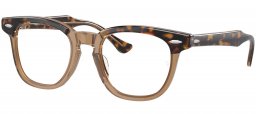 Gafas Junior - Ray-Ban Junior Collection - RY9098V - 3958 HAVANA ON TRANSPARENT