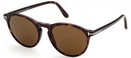 Sunglasses - Tom Ford - AURELE FT0904 - 52J  DARK HAVANA // ROVIEX