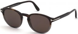 Gafas de Sol - Tom Ford - DANTE FT0834  - 56A  DARK HAVANA GREY // GREY