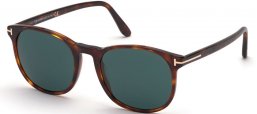 Gafas de Sol - Tom Ford - ANSEL FT0858 - 54V  HAVANA // BLUE