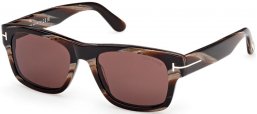 Sunglasses - Tom Ford - SMITH-02 FT1303 - 64E  STRIPED BROWN // BROWN