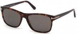 Sunglasses - Tom Ford - GIULIO FT0698 - 52D  DARK HAVANA // GREY POLARIZED