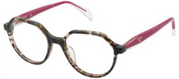 Frames - Tous - VTOB56 - 09BD  SHINY BROWN RED HAVANA