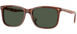 Gafas de Sol - Vogue eyewear - VO5618S - 32029A  TRANSPARENT BROWN // DARK GREEN POLARIZED