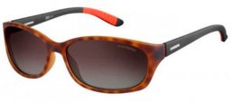 Sunglasses - Carrera - CARRERA 8016/S - 6XV  (LA) HAVANA BLACK // BROWN GRADIENT POLARIZED