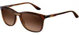 Sunglasses - Carrera - CARRERA 6013/S - DWJ (HA) HAVANA // BROWN GRADIENT